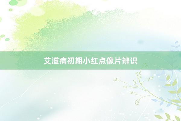 艾滋病初期小红点像片辨识
